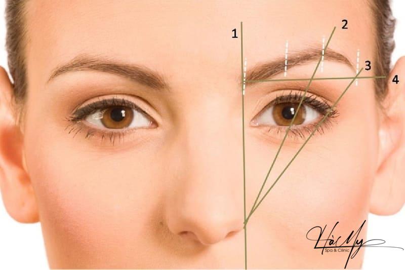 Dịch vụ phun xăm chân mày ngang Hàn Quốc thời thượng? 7 Xác định 3 điểm đầu, đuôi và đỉnh để tạo khuôn mày (Nguồn: Internet)