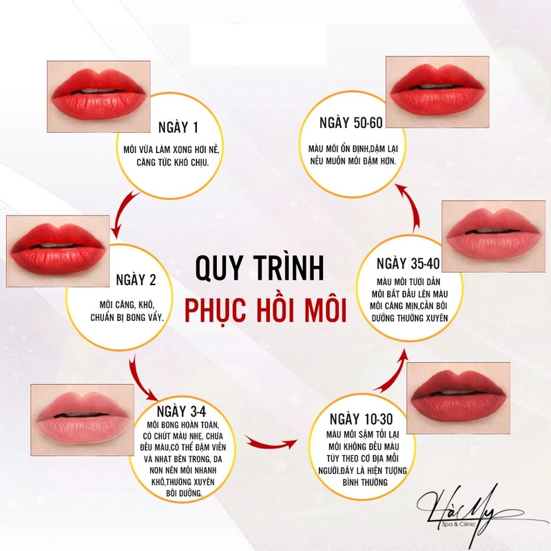Quá trình lên màu của môi xăm và những lưu ý quan trọng 6 Tóm tắt quá trình lên màu của môi xăm (Nguồn: Internet)