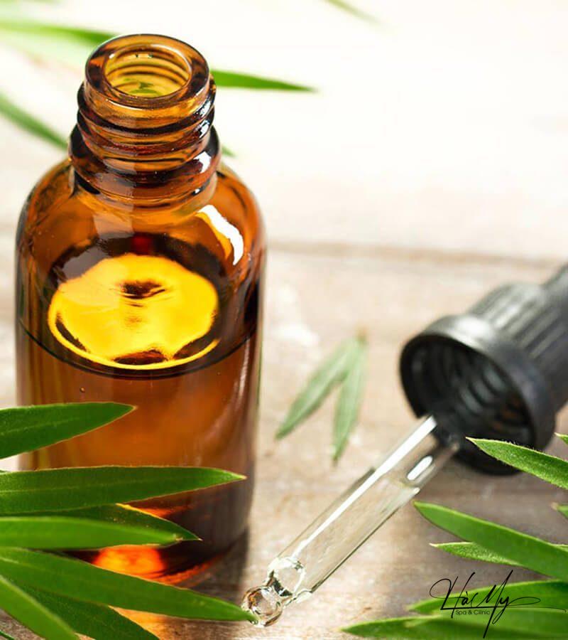 12 lời khuyên trị mụn đơn giản mà hiệu quả 16 Sử dụng tinh dầu tràm trà để trị mụn hiệu quả (Nguồn: Internet)