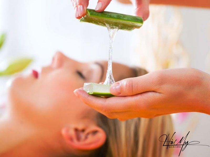 Mách bạn cách trị mụn viêm đỏ đơn giản tại nhà an toàn 11 Cách trị mụn viêm đỏ bằng nha đam thoa lên vùng da hay nốt mụn giúp mau lành tổn thương (Nguồn: Internet)