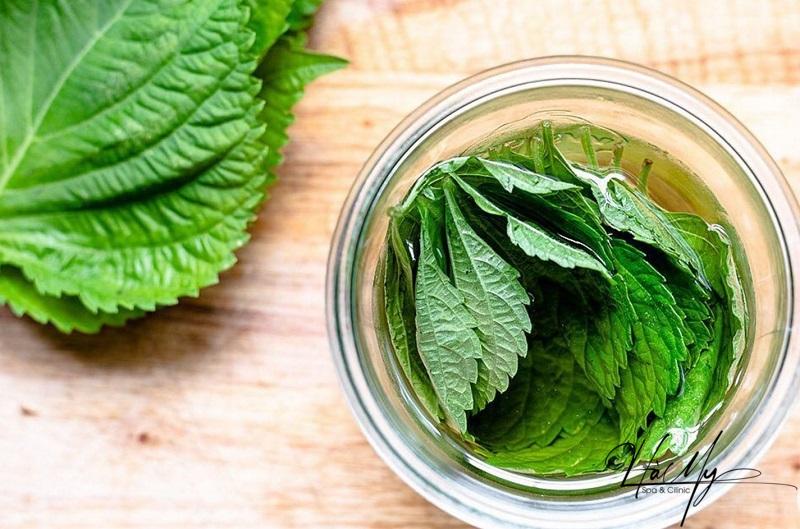 Top 7 cách trị mụn viêm đỏ không nhân tại nhà hiệu quả nhất 17 Trị mụn sưng đỏ không nhân bằng lá tía tô (Nguồn: Internet)