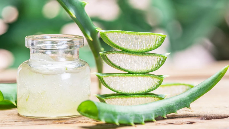 Bật mí 10 cách làm xẹp mụn sưng đỏ sau 1 đêm hiệu quả, an toàn 21 Phương pháp giảm sưng mụn, mụn viêm bằng mặt nạ làm từ nha đam (Nguồn: Internet)
