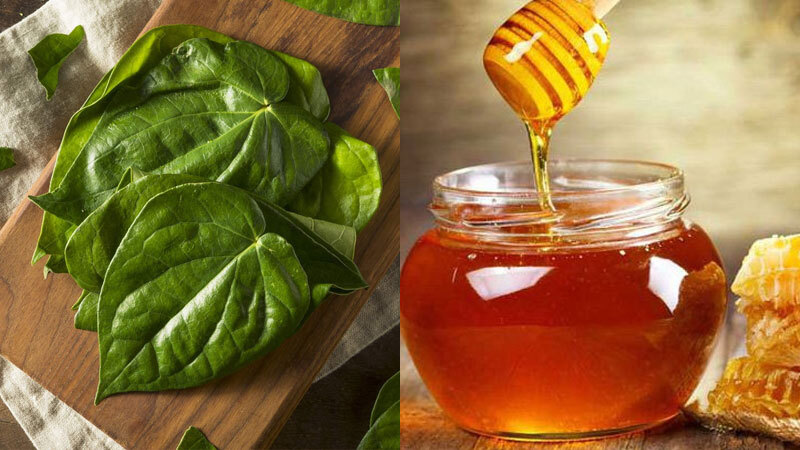 8 Cách điều trị nám bằng lá trầu không đơn giản hiệu quả 9 Cách trị nám bằng lá trầu không và mật ong (Nguồn: Internet)