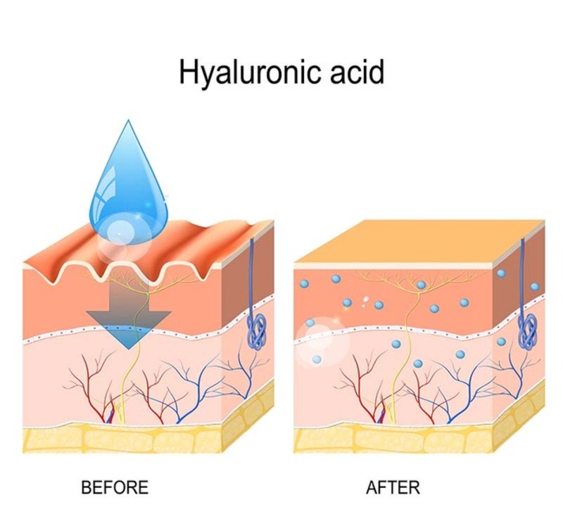 HA là gì? Chìa khóa cho làn da căng mọng, mịn màng 10 Cơ chế hoạt động của Hyaluronic Acid (HA) là gì? (Nguồn: Internet)