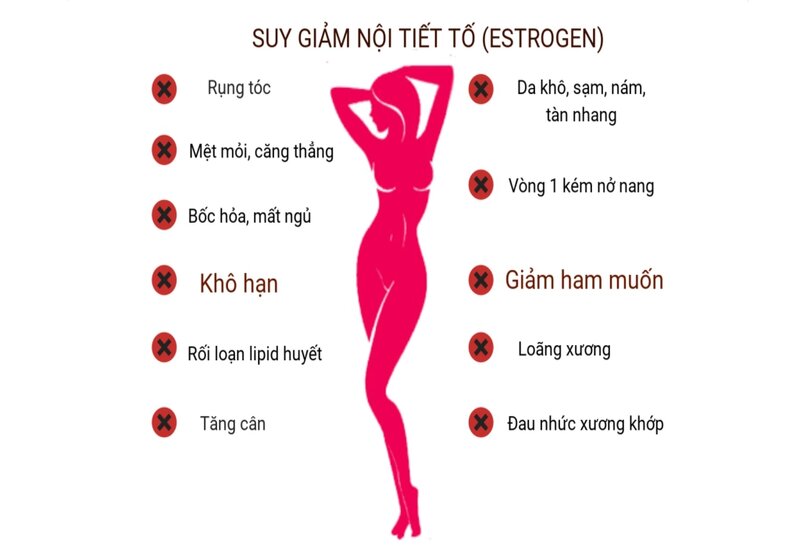 Mụn Li Ti Trên Mặt - Nỗi Ám Ảnh Không Của Riêng Ai 21 Suy giảm nội tiết tố ảnh hưởng như thế nào? (Nguồn: Internet)